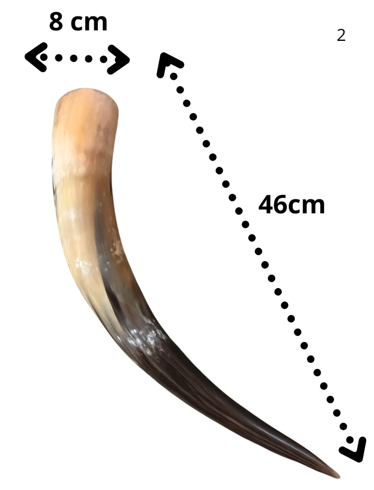 Cuerno Natural para beber 650ml, 46cm muy grande (2)