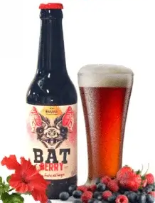 Hidromiel Rasmia Batberry