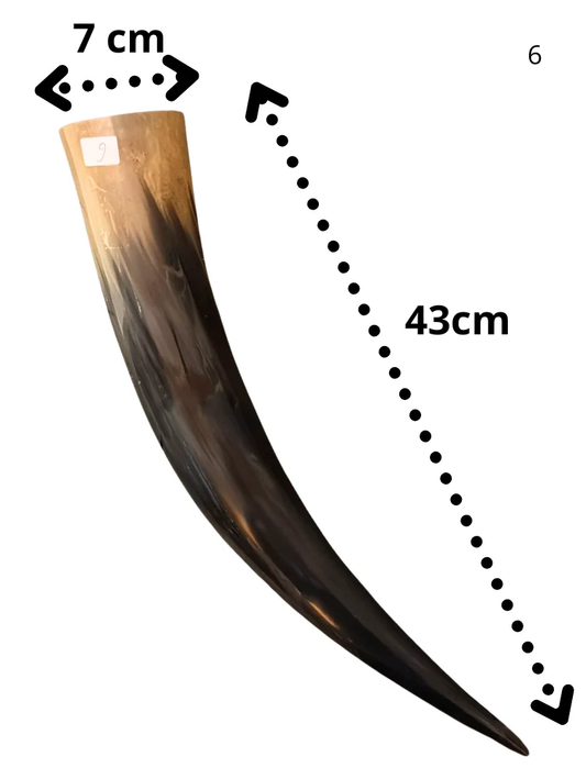 Cuerno Natural para beber 550ml, 43cm (6)