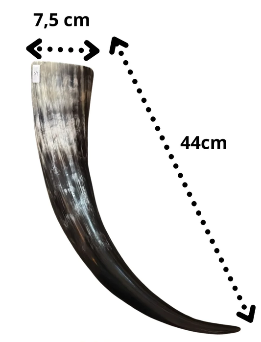 Vaso de Cuerno Natural 450ml, 44cm, veteado (3)